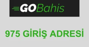 GGOBahis 975 giriş